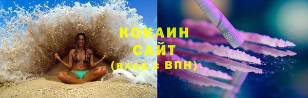 тгк Бородино