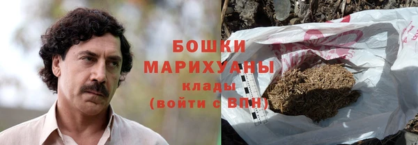 тгк Бородино