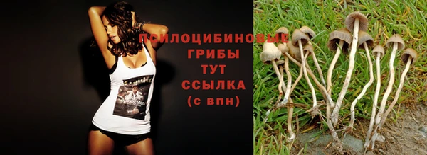 тгк Бородино