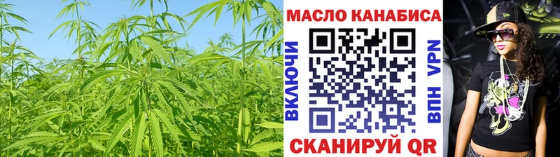 сколько стоит  Ершов  Дистиллят ТГК гашишное масло 